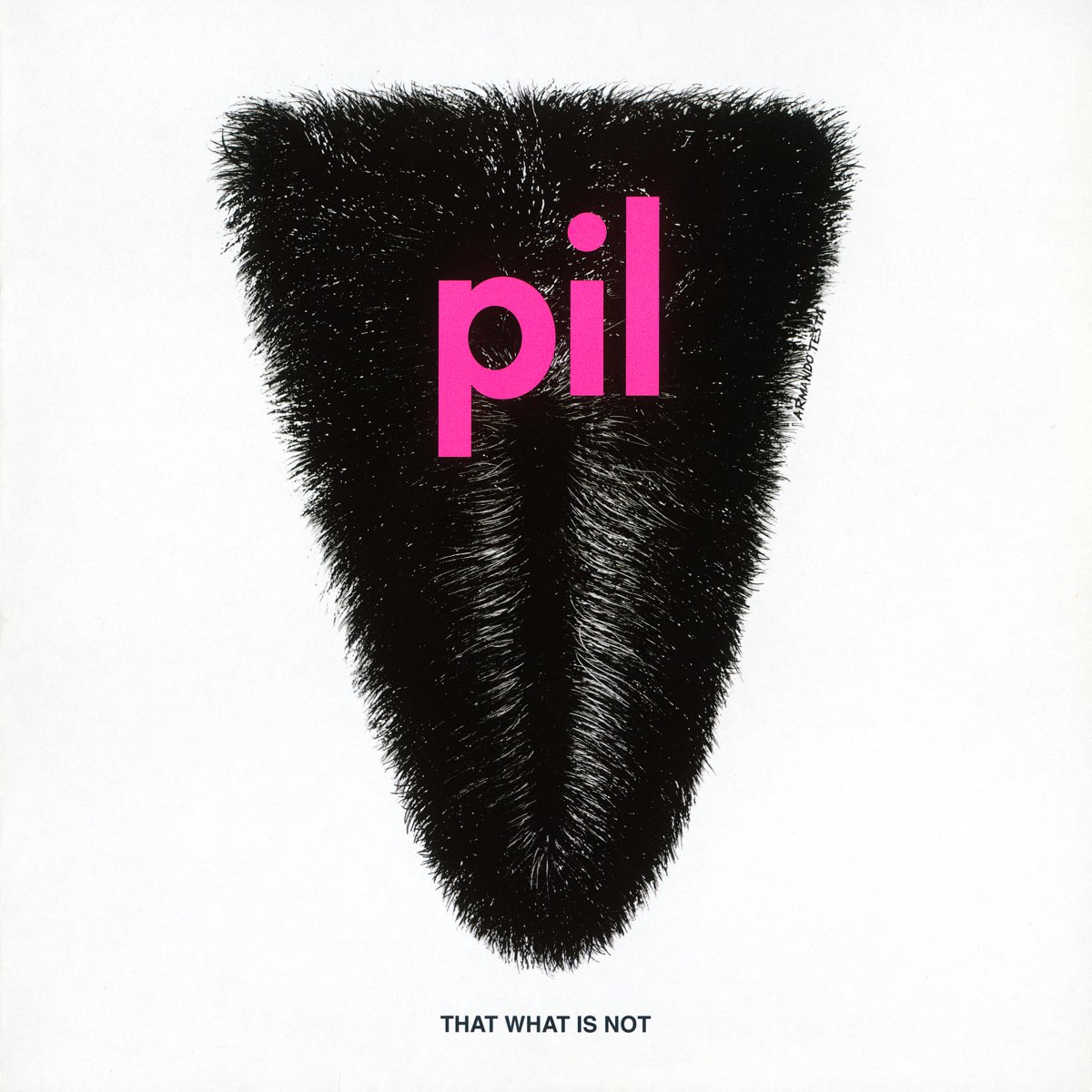 You are currently viewing Godišnjica objavljivanja albuma That What Is Not grupe Public Image Ltd.