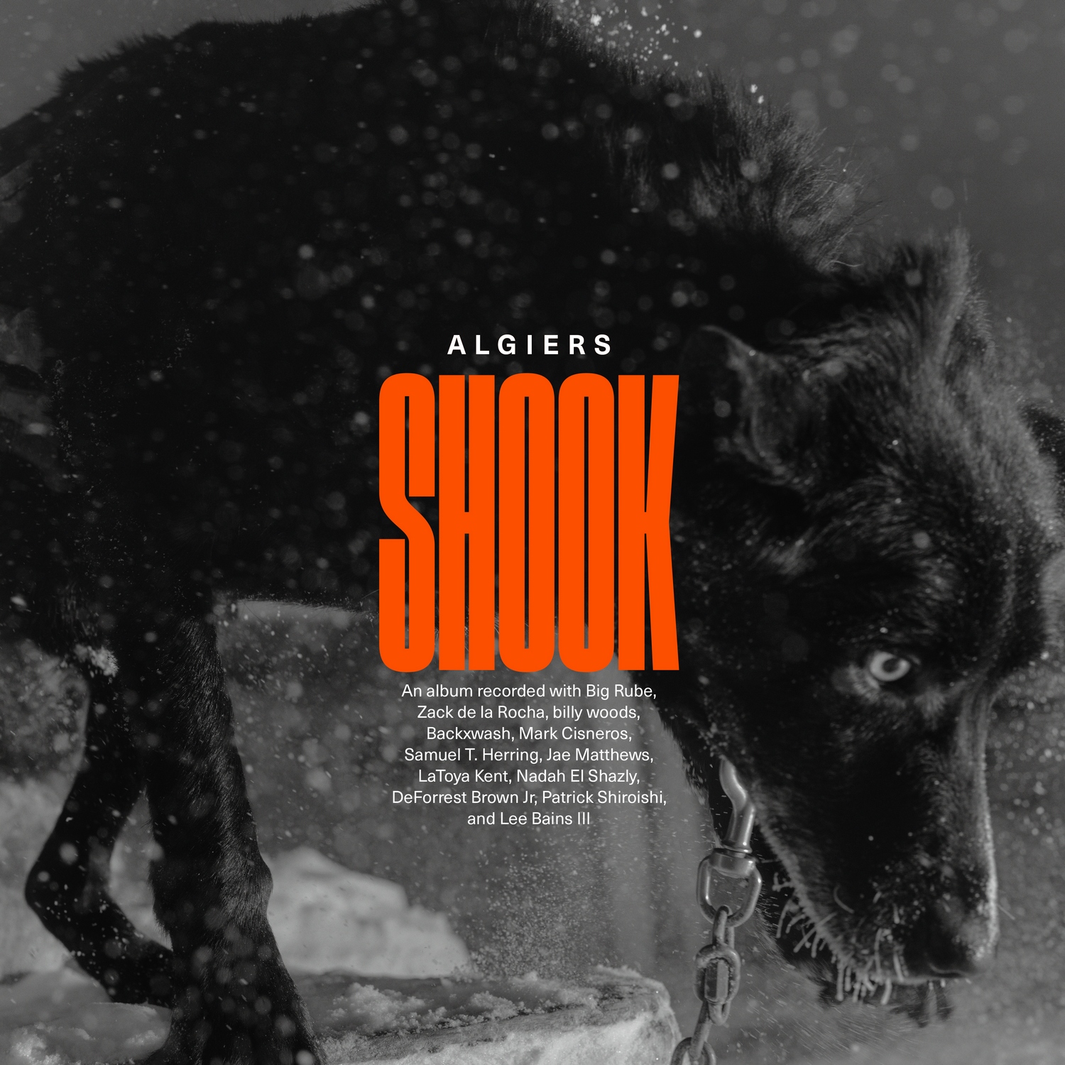 You are currently viewing Sastav Algiers objavio respektabilan četvrti album Shook