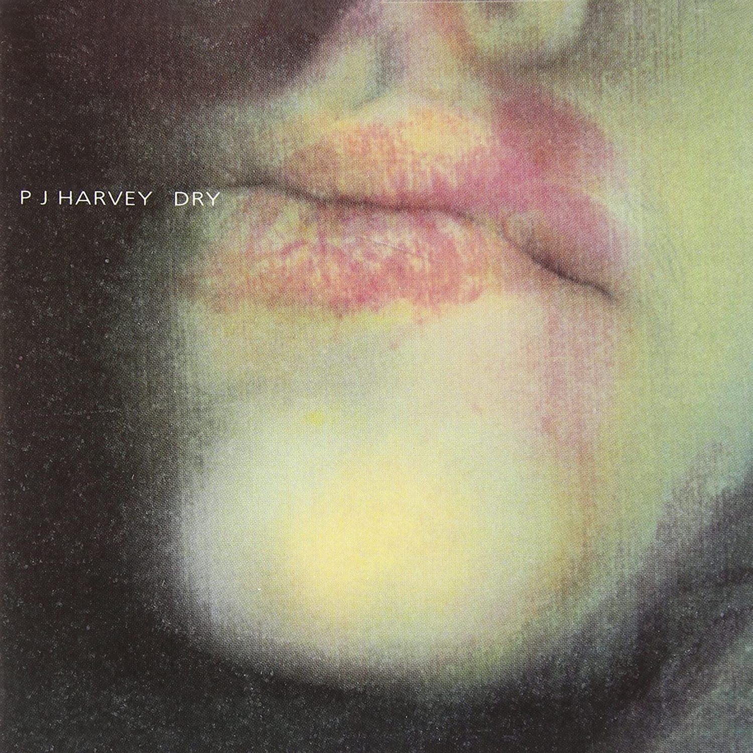 You are currently viewing Godišnjica objavljivanja debi-albuma Dry glazbenice PJ Harvey