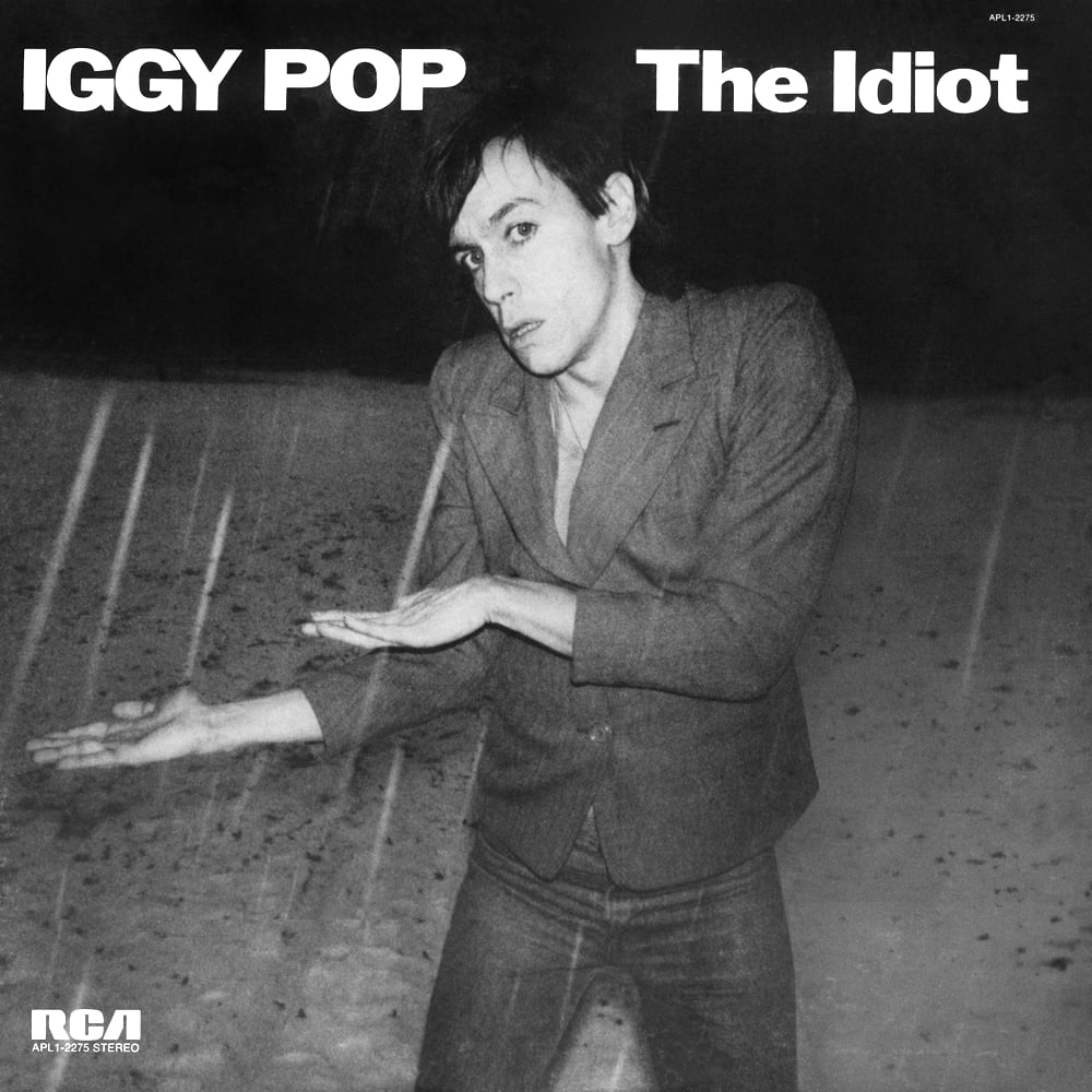 Read more about the article Godišnjica objavljivanja albuma The Idiot Iggyja Popa