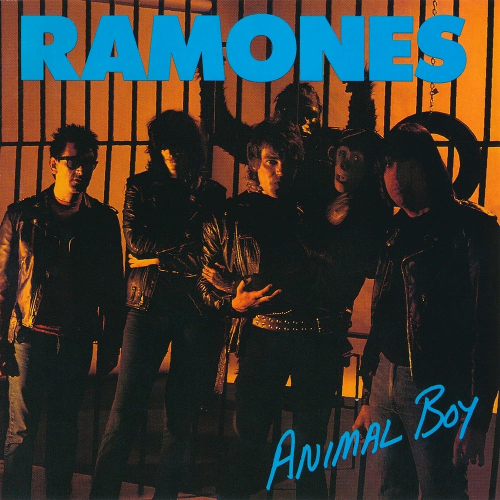 Read more about the article Godišnjica objavljivanja albuma Animal Boy grupe Ramones