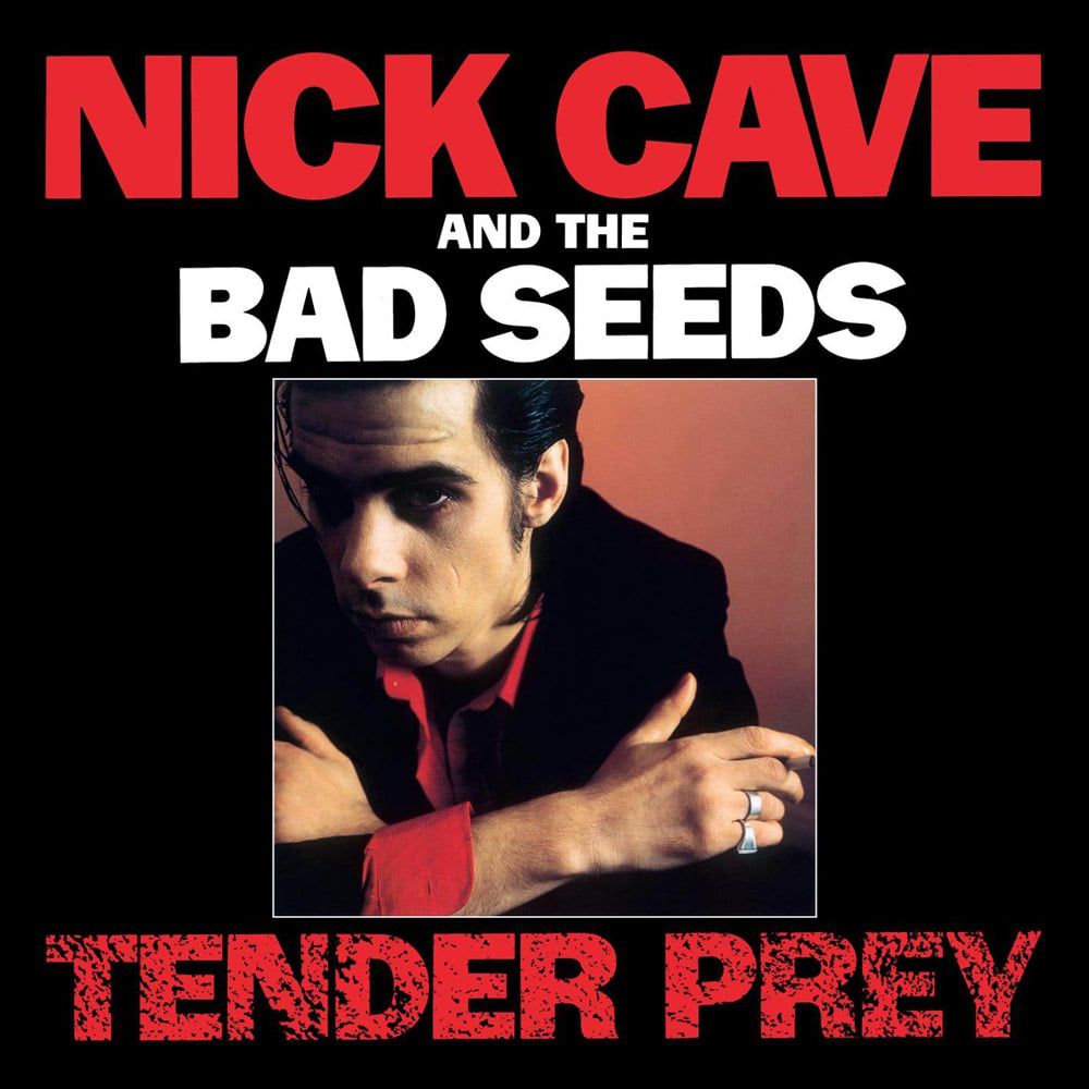 Read more about the article Godišnjica objavljivanja albuma Tender Prey Nicka Cavea